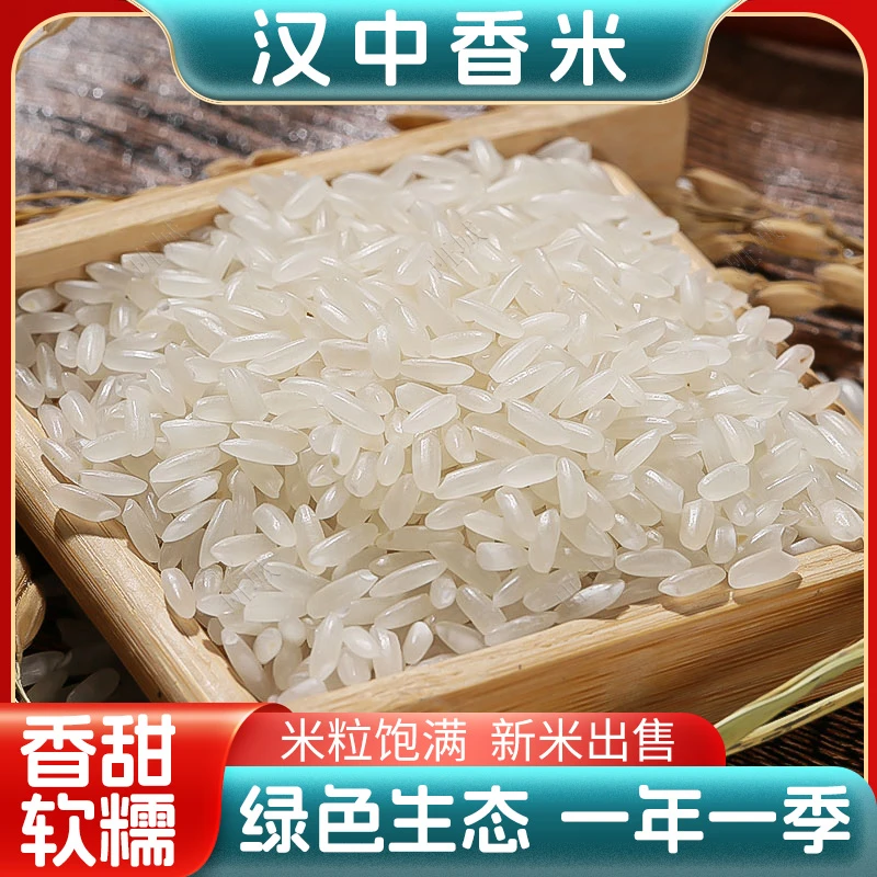 陕西汉中大米2024年汉中香米5kg金正米籼稻晚熟稻米汉鲜香大米