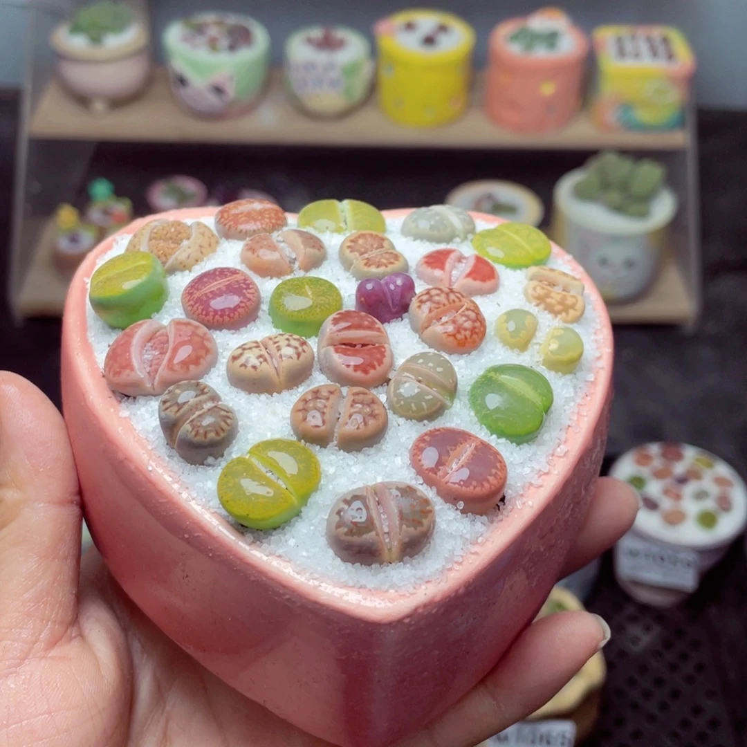 w1068 带盆土发货-零下地区拍保温箱