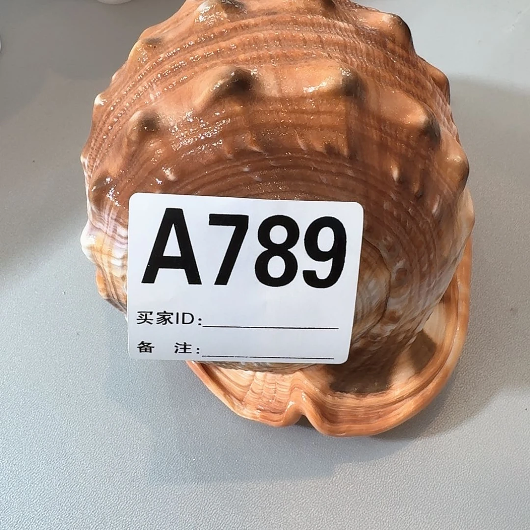 用****2789 感谢分享感谢分享