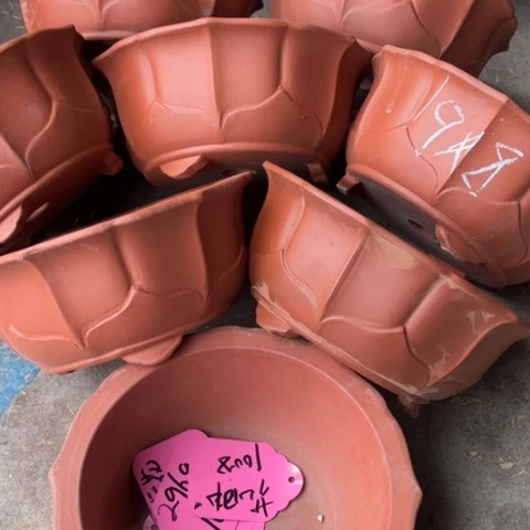 100-8。   19-8。  微瑕。