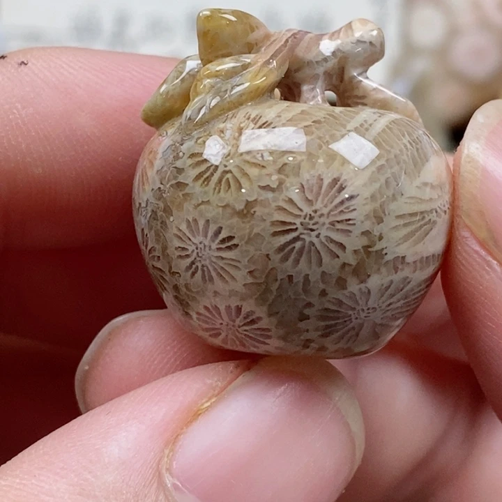 颈饰未镶嵌硅化珊瑚（珊瑚玉）