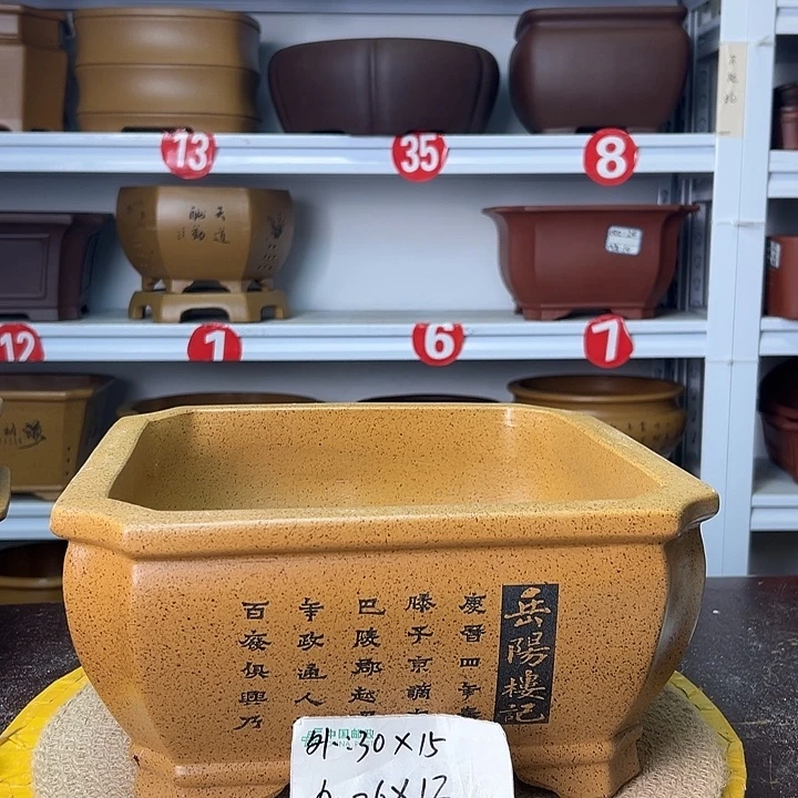 花盆紫砂你在一起