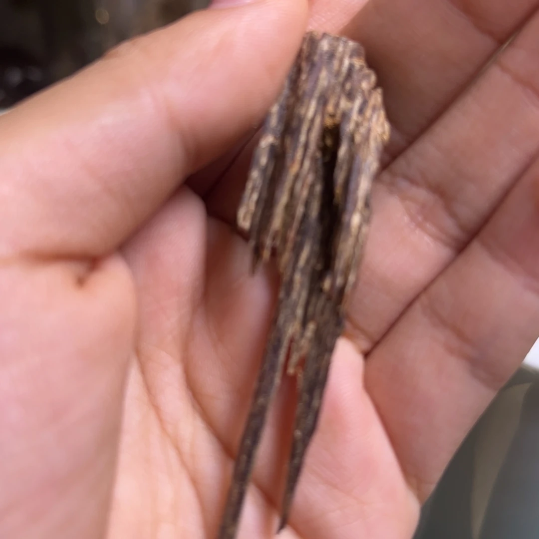 小***g香料海南霸王岭包头