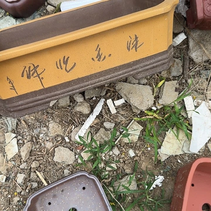 你要的不是这样做就不