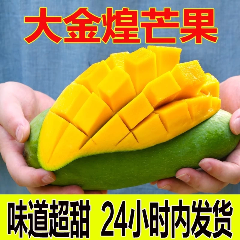 海南金煌芒果整箱应当季新鲜热带水果水仙芒特大青皮芒果包邮