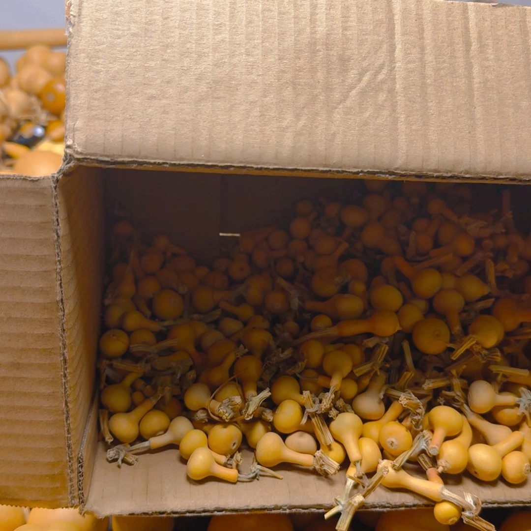 兔坨我来了打榜打投票