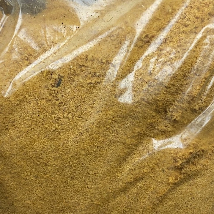 清***心柏木（崖柏）崖柏粉一斤