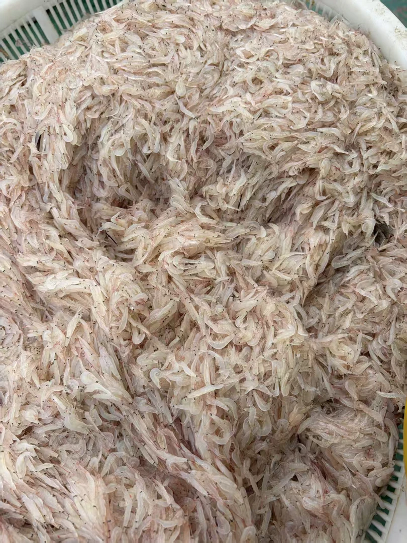 新鲜现捕湿虾皮