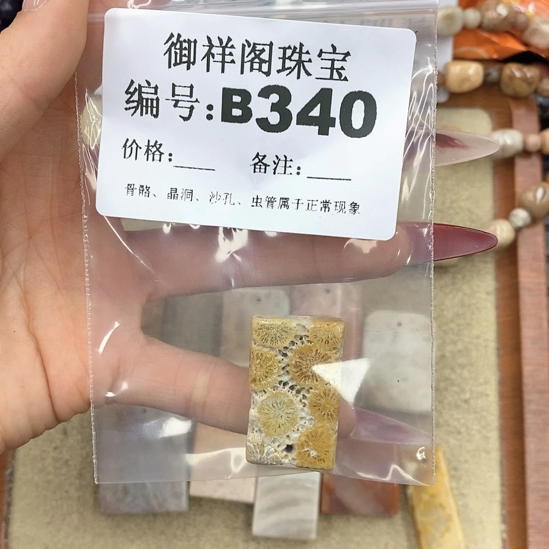 硅化珊瑚（珊瑚玉）颈饰未镶嵌言**西