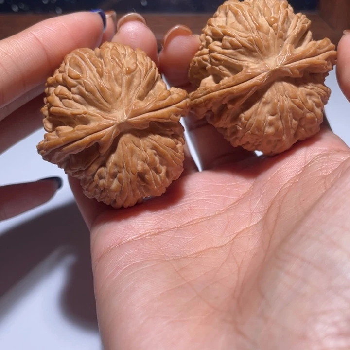 核桃手串/手链44白狮子