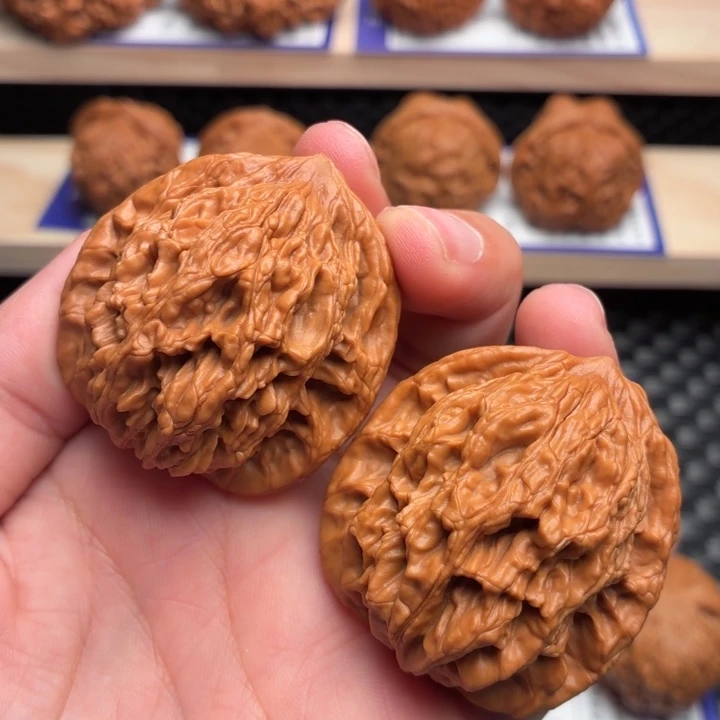 核桃12号全品麦穗虎41尺