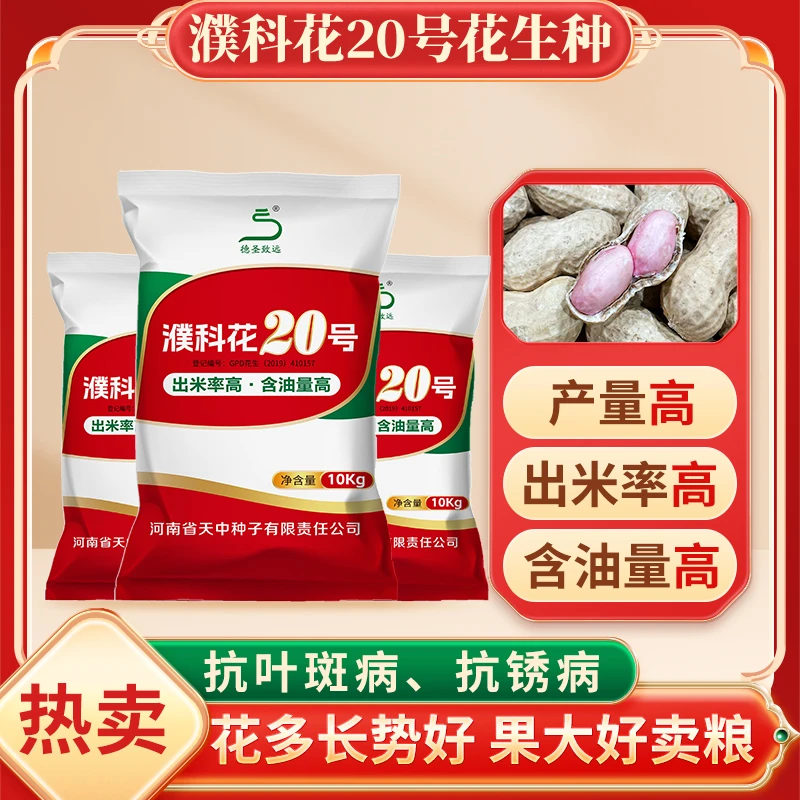 【多袋组合装】濮科花20号花生种子优质高产品种薄皮籽大出米率高
