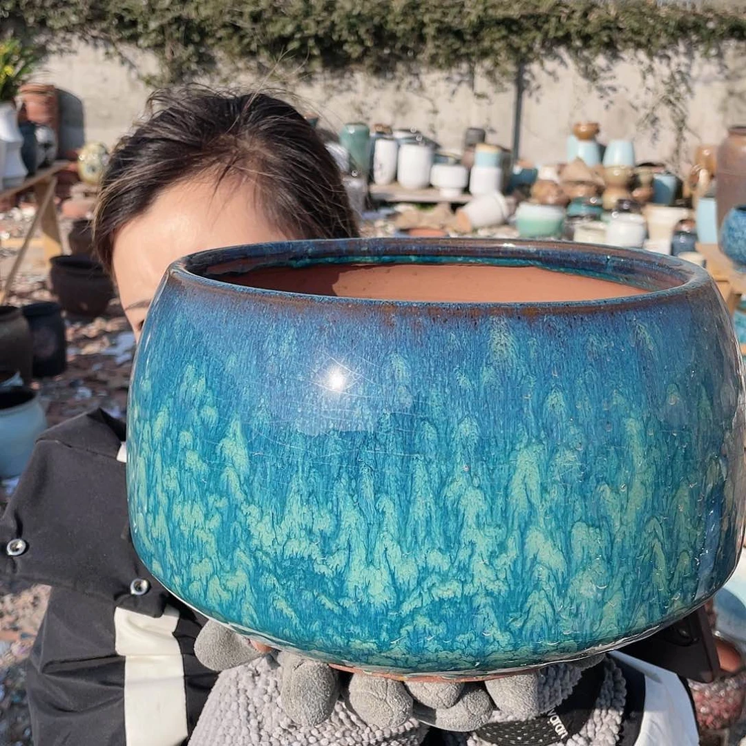 红陶蝴蝶兰花盆啊健健康康