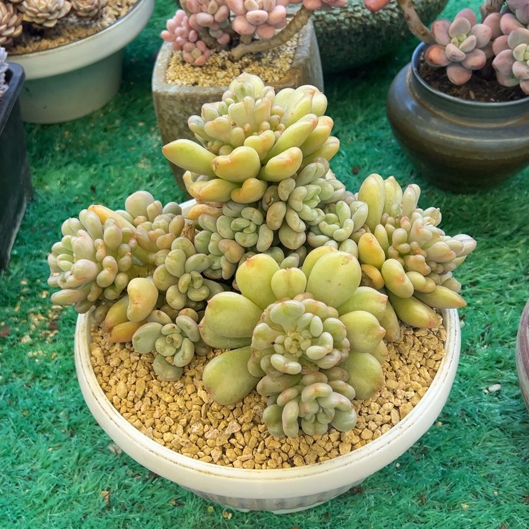 比尔盖茨，，，，，，，，，，