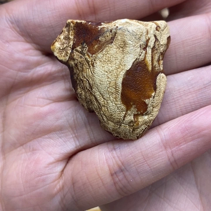 ****定制琥珀未镶嵌裸石