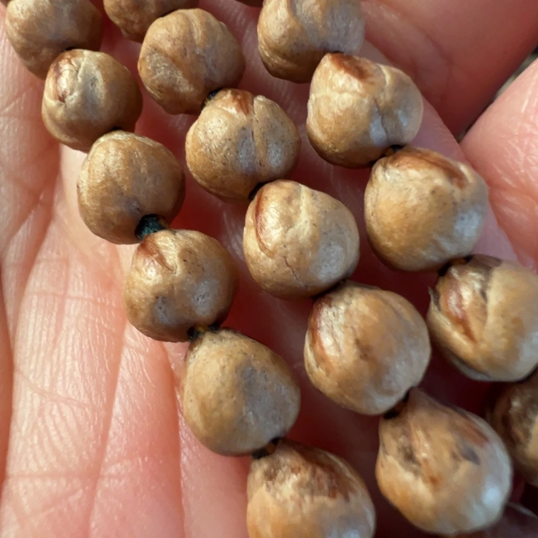 吊坠柏香籽/百香籽F746