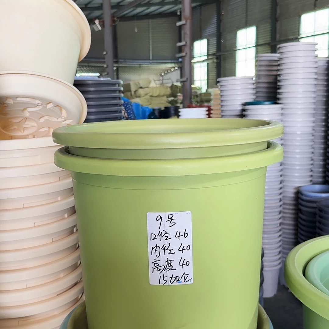 微瑕9#口径46无拖果绿3个