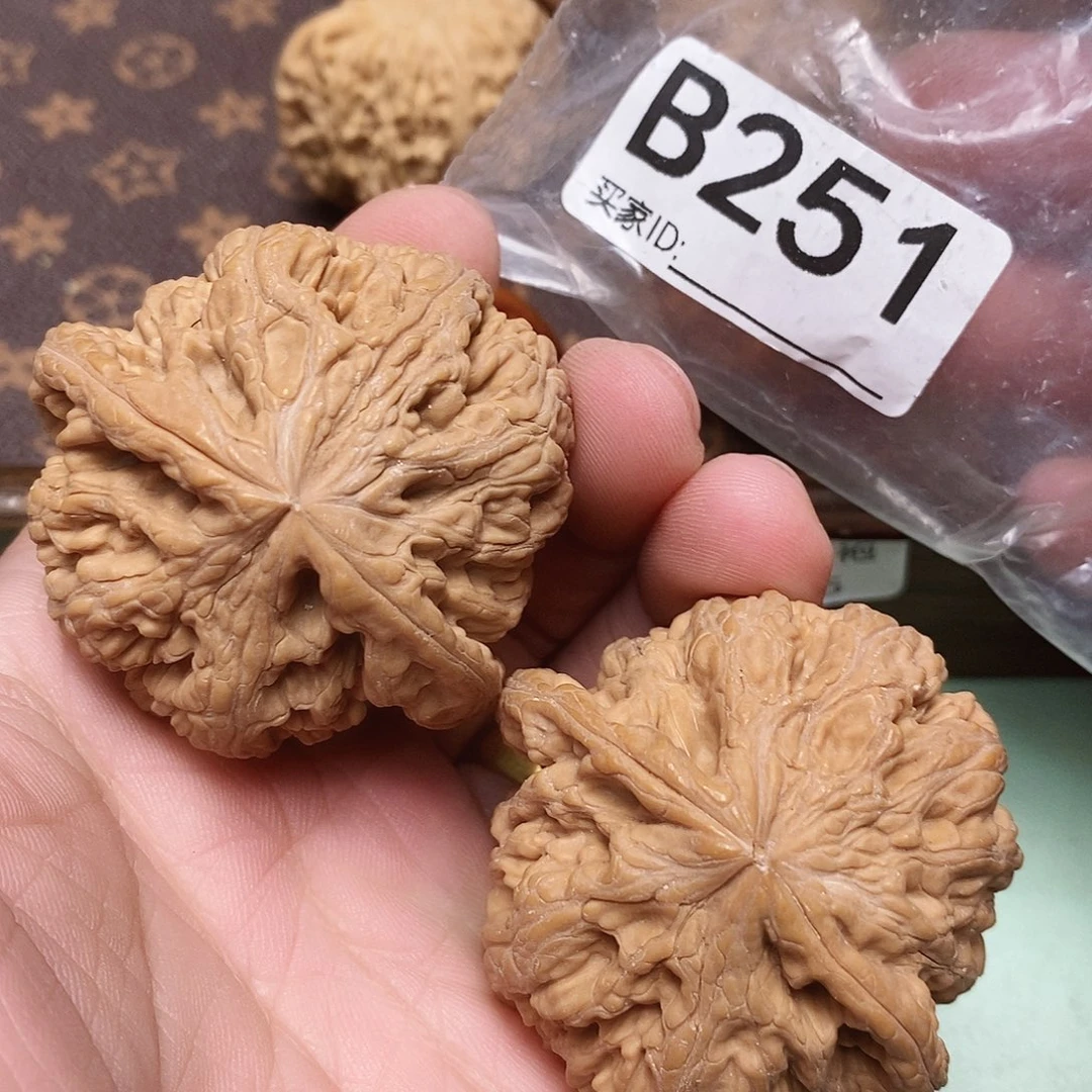 把件文玩核桃大粗筋48加 龟背