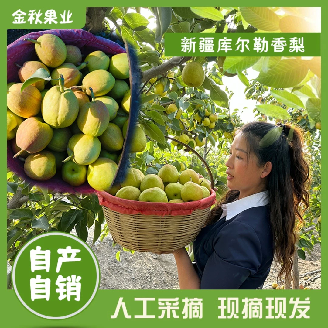 新疆库尔勒香梨脆甜多汁皮薄新鲜现摘梨子包邮
