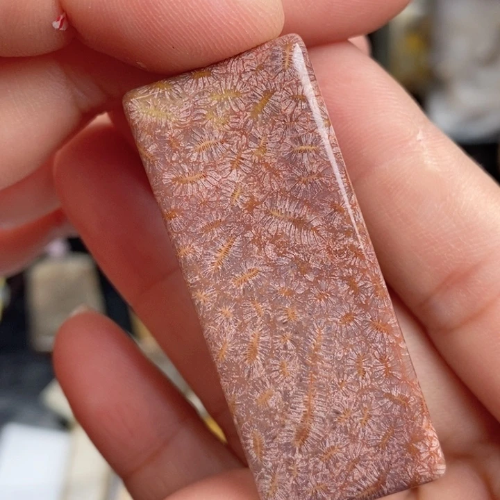 硅化玉未镶嵌颈饰