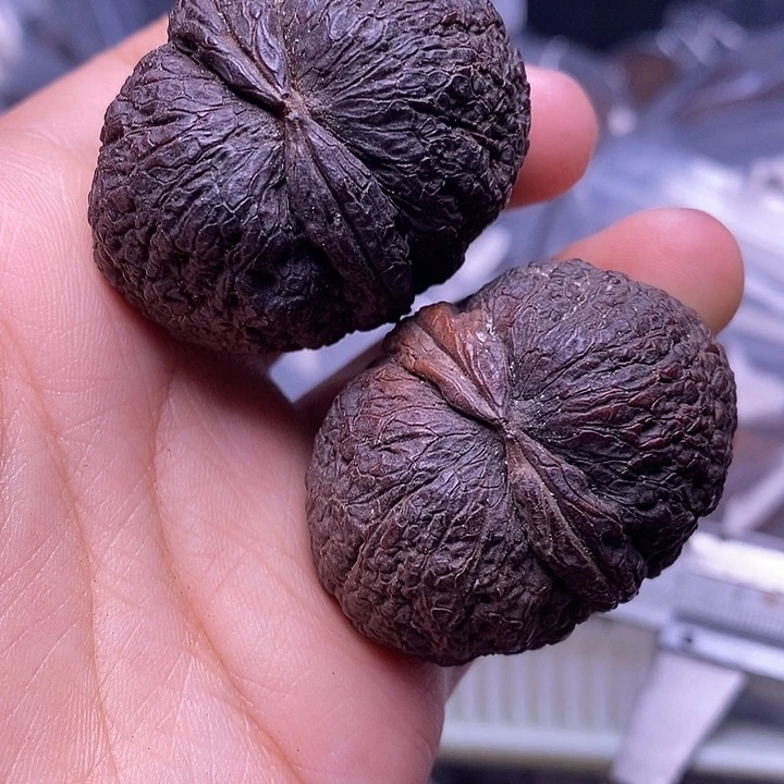 把件文玩核桃   64