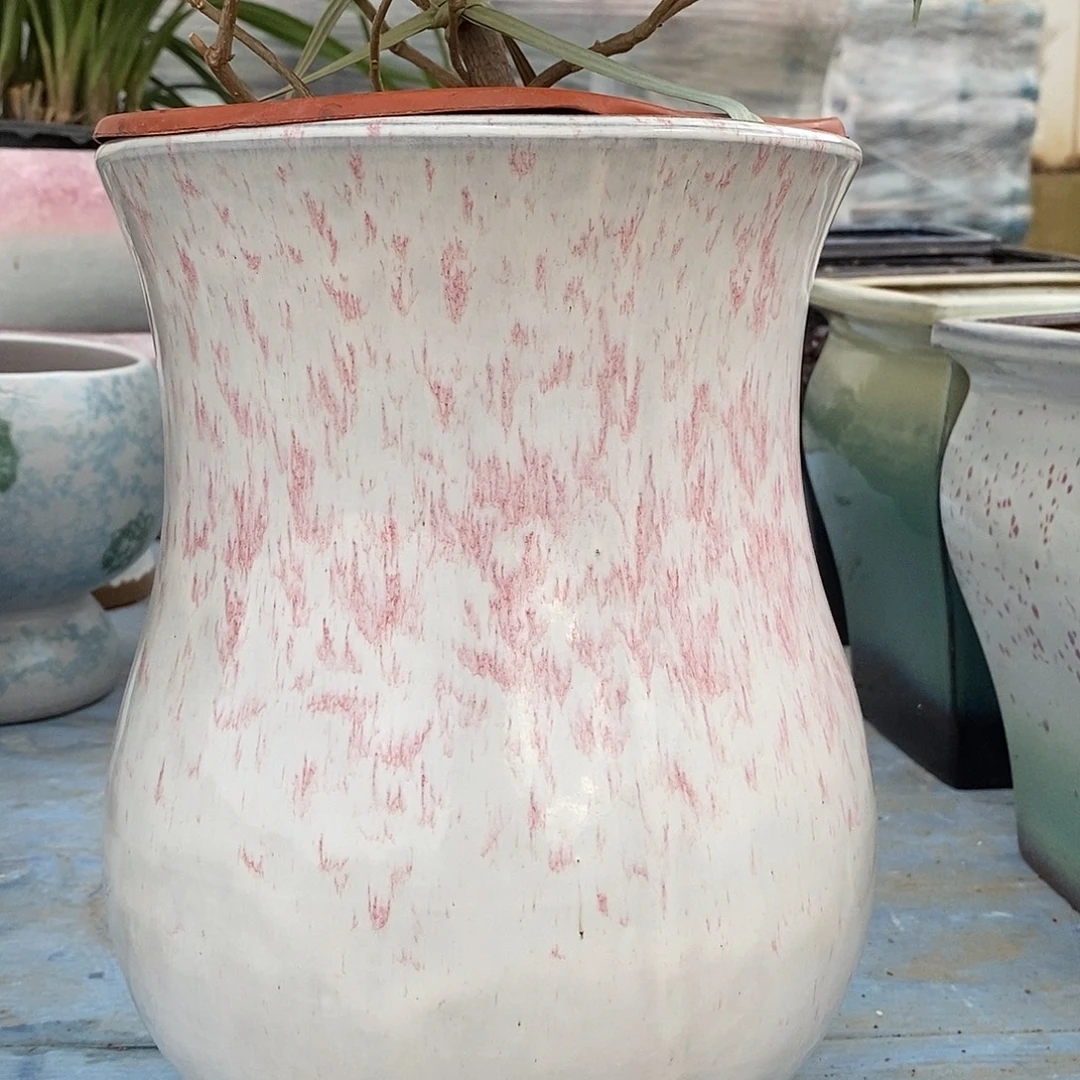 口径20高度30正品