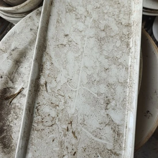 瓷发两个长方盘口径长28宽14