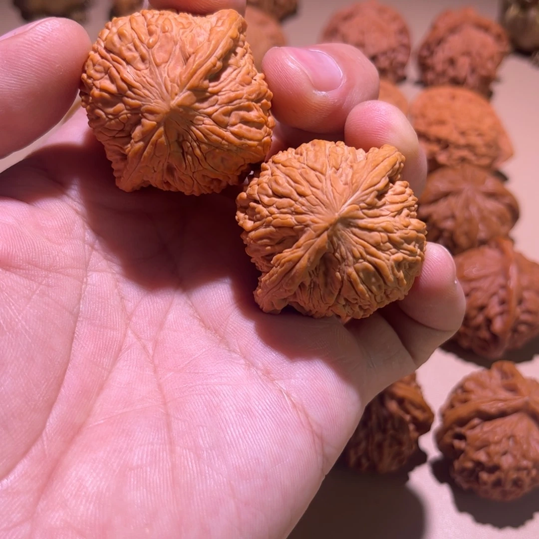 大叶紫檀（黑酸枝木类）秀球