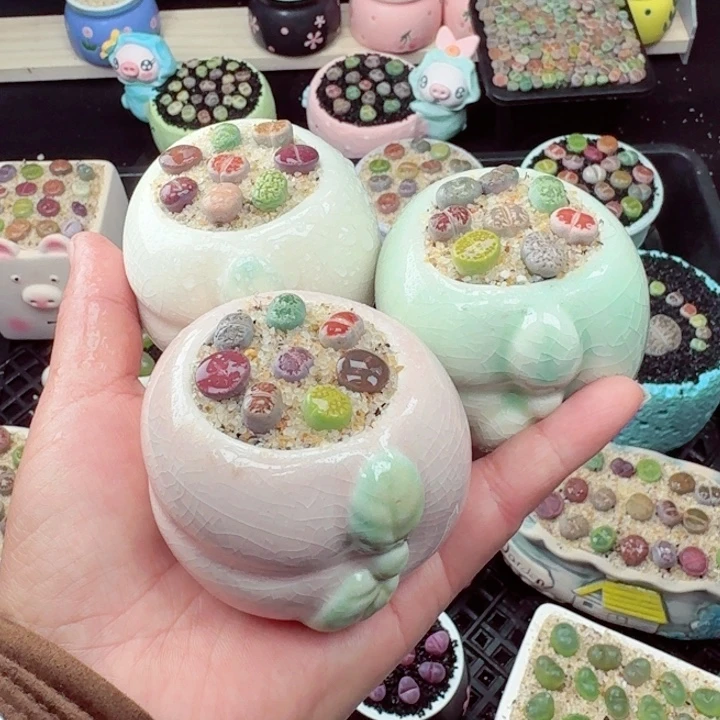 零下地区记拍保温箱898