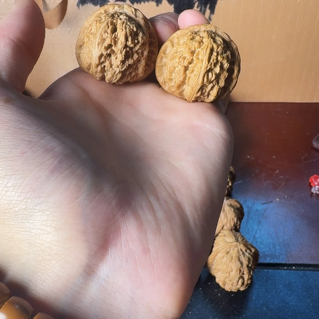 文玩核桃把件白狮子37