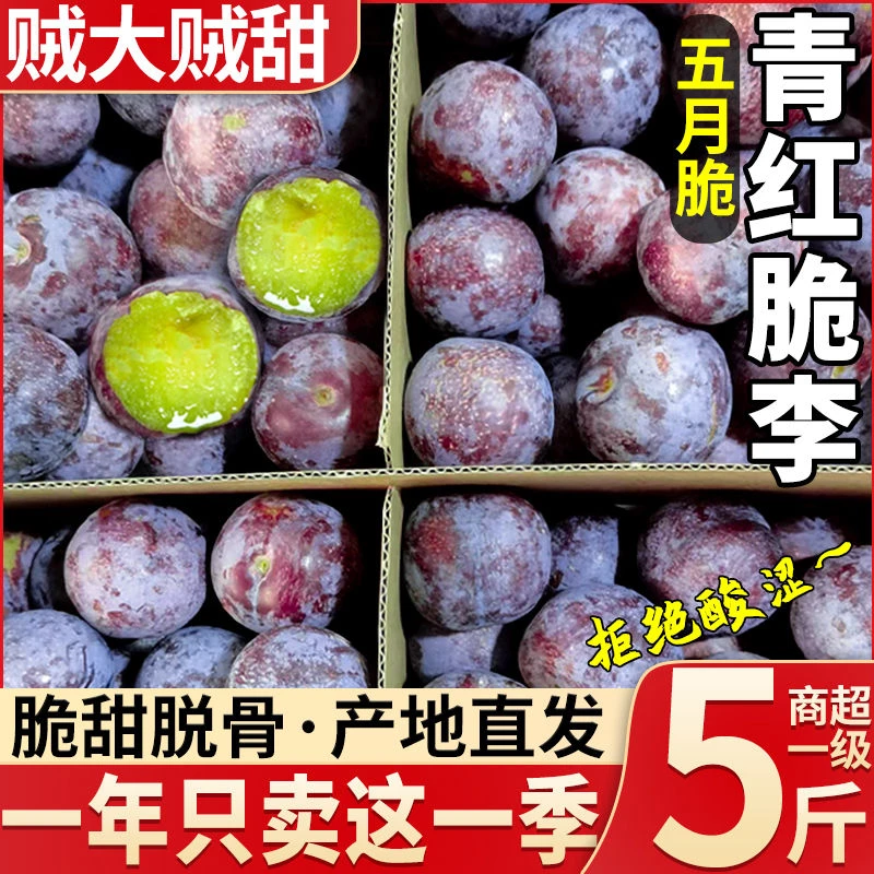 四川高山五月脆李子新鲜水果凤凰李三华李蜂糖李青孕妇脱骨半边红