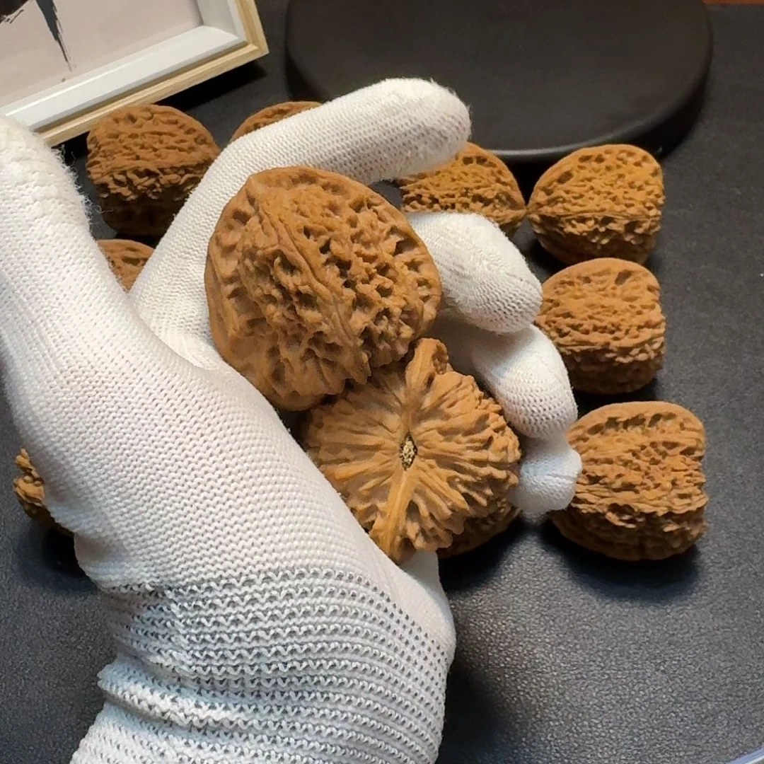 把件文玩核桃逐鹿南疆等腰三角 头货对