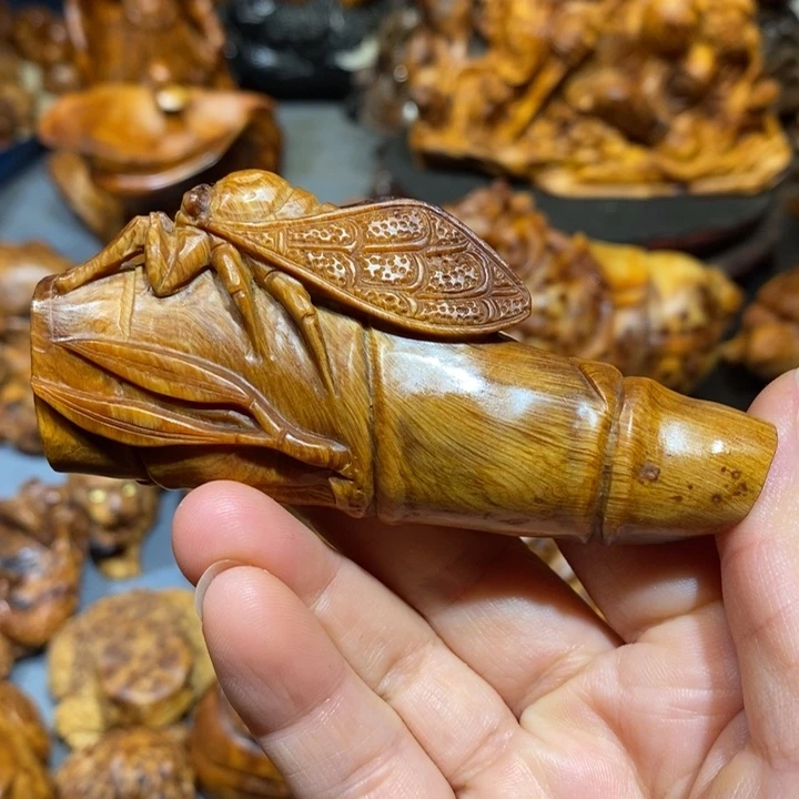 柏木太行崖柏陈化