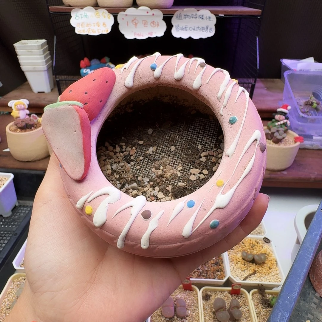 ღ***࿐多肉植物福利风铃