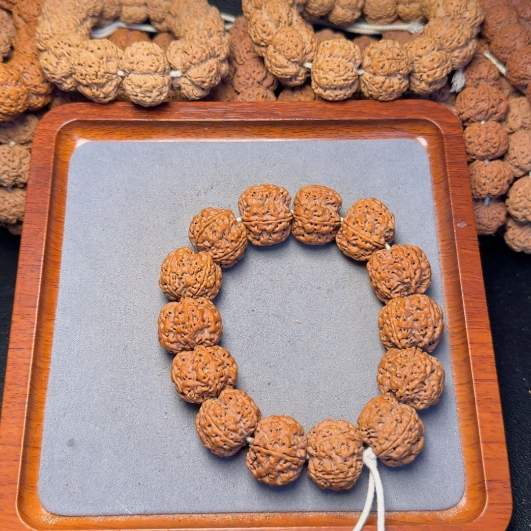 12号尼泊尔大金刚24.5-25五星梅花豆腐块看