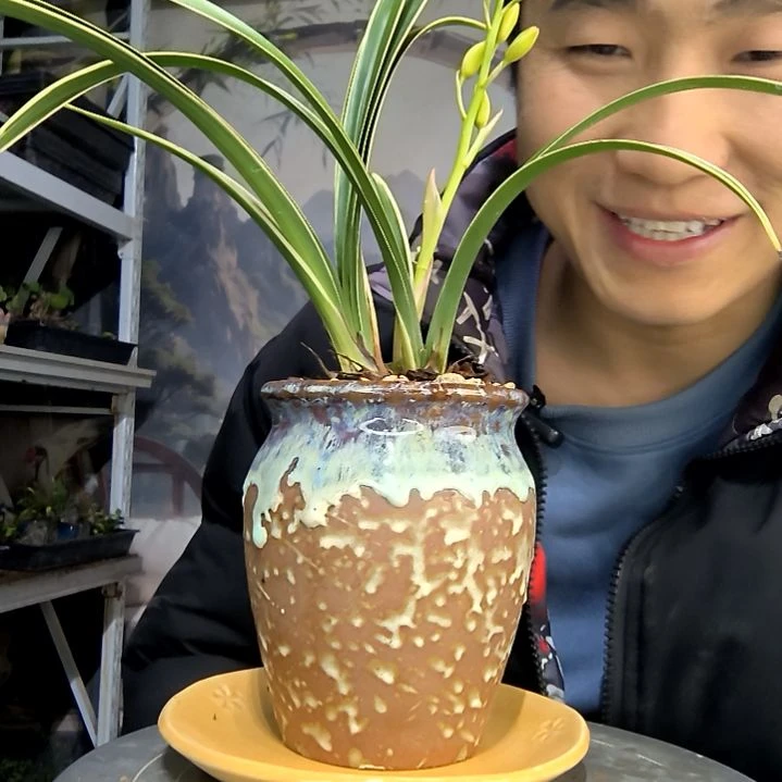 吴***水中青园艺一物一拍花283