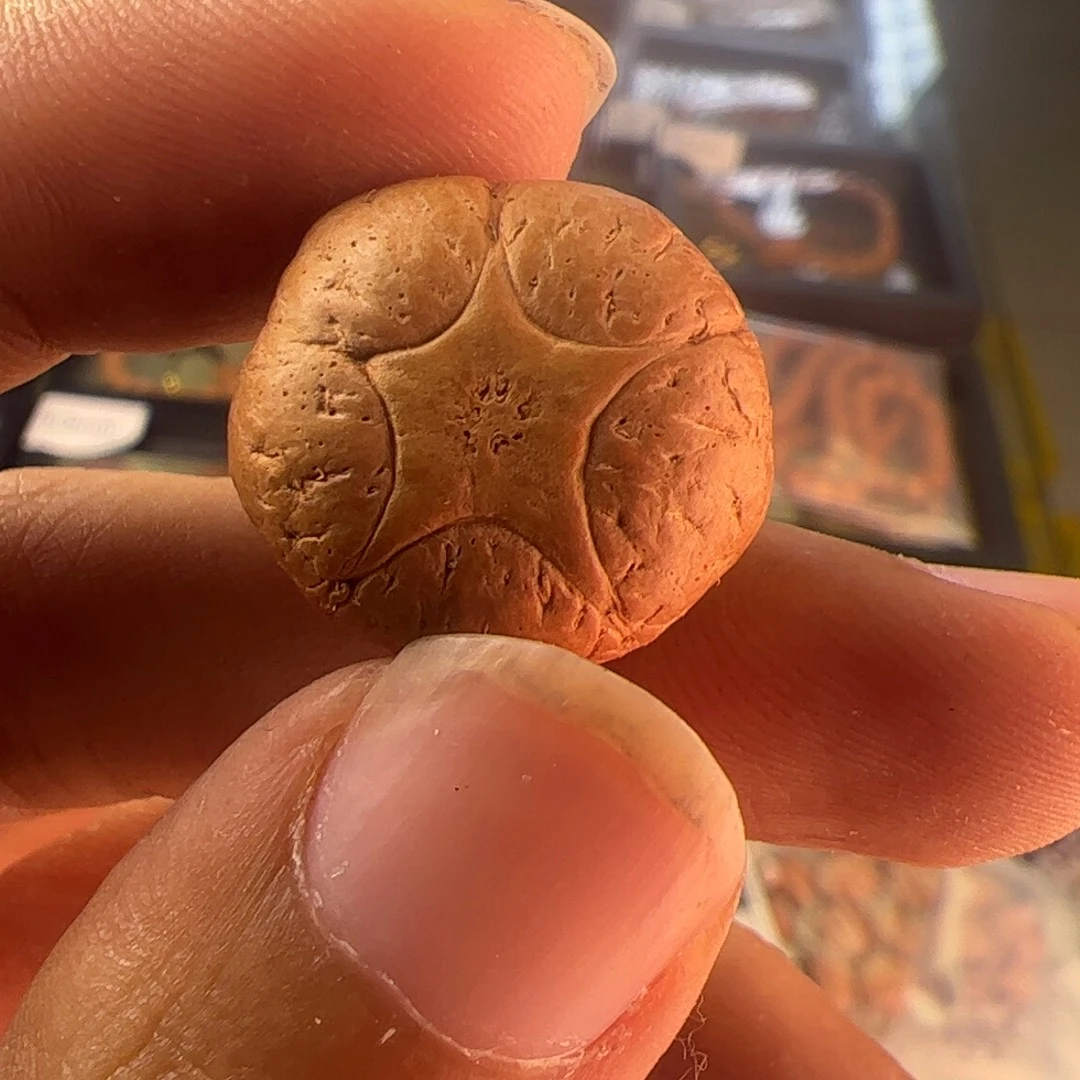 凤眼菩提吊坠3864三通