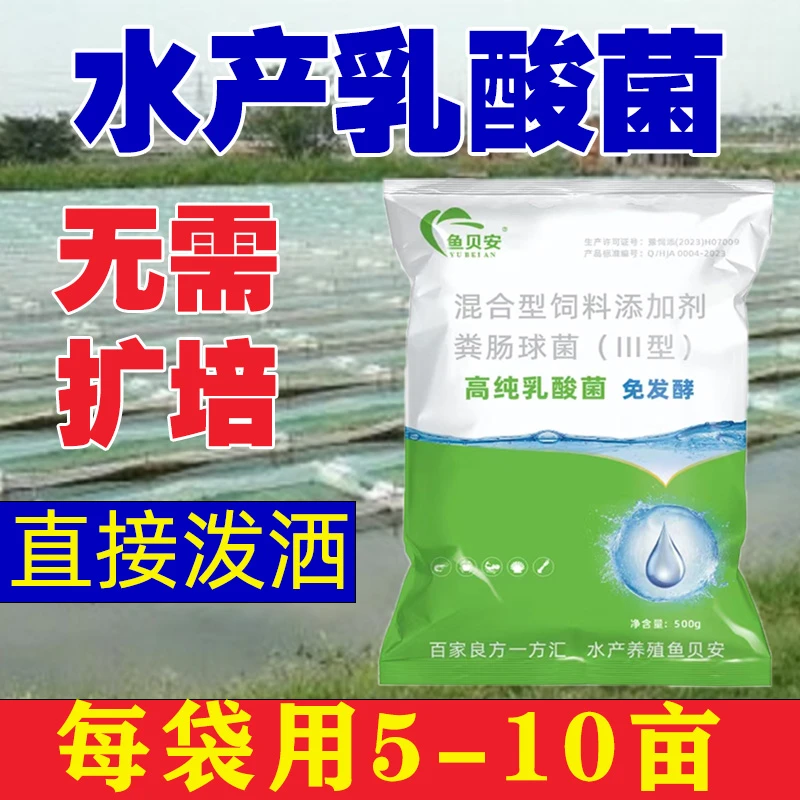 免发酵乳酸菌抑制蓝藻降低PH值稳定水体以菌治菌