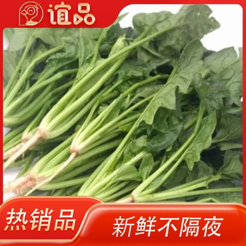 菠菜 约300g/份（火锅食材）【特惠】