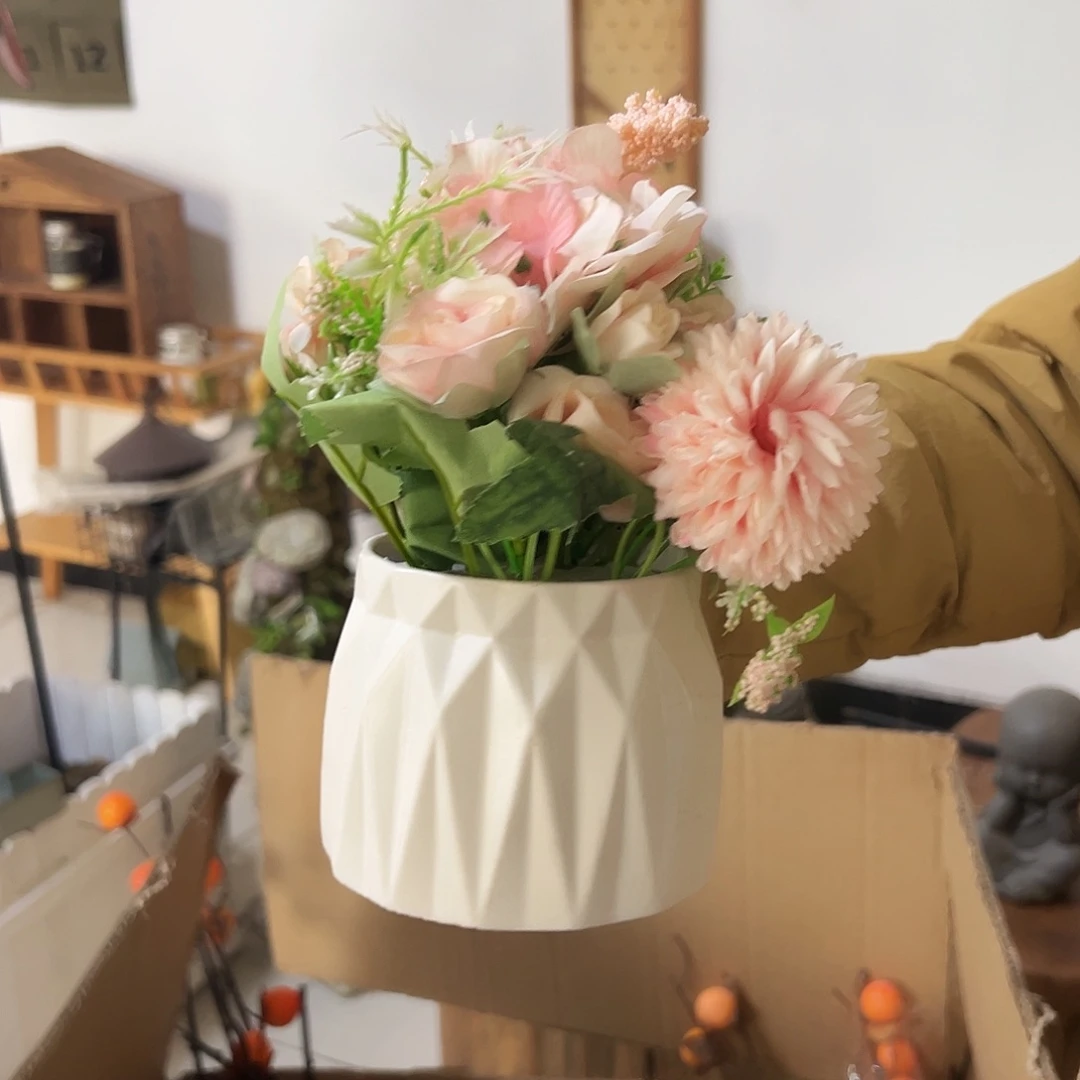 抖音直播瑕疵一盆