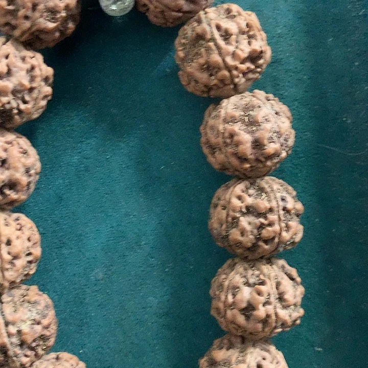 手串金刚菩提秋****2金刚