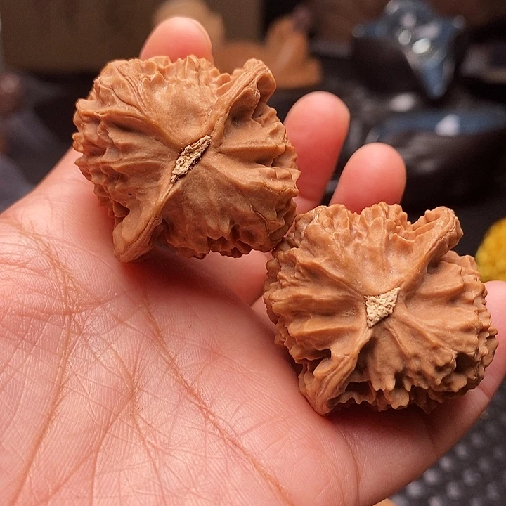 桃核把件宝相花39尺