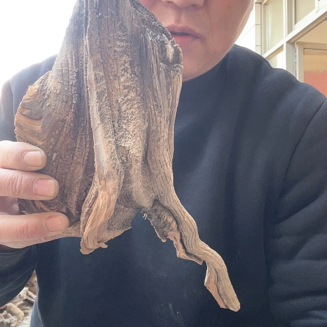 【闪购商品】柏木?****?啊啊啊啊啊啊啊啊