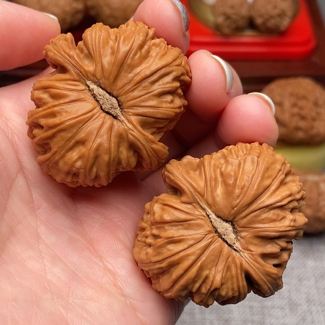 文玩核桃把件白狮子41全品