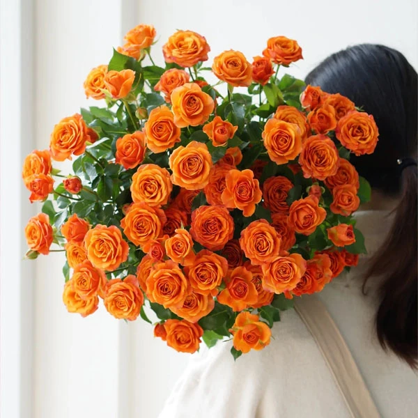 【家庭鲜花】5支多头橙色芭比（1只3头以上）花瓶插花鲜花店送花上门到家（不含花瓶）