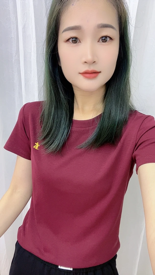 1776新款简约时款百搭刺绣T恤