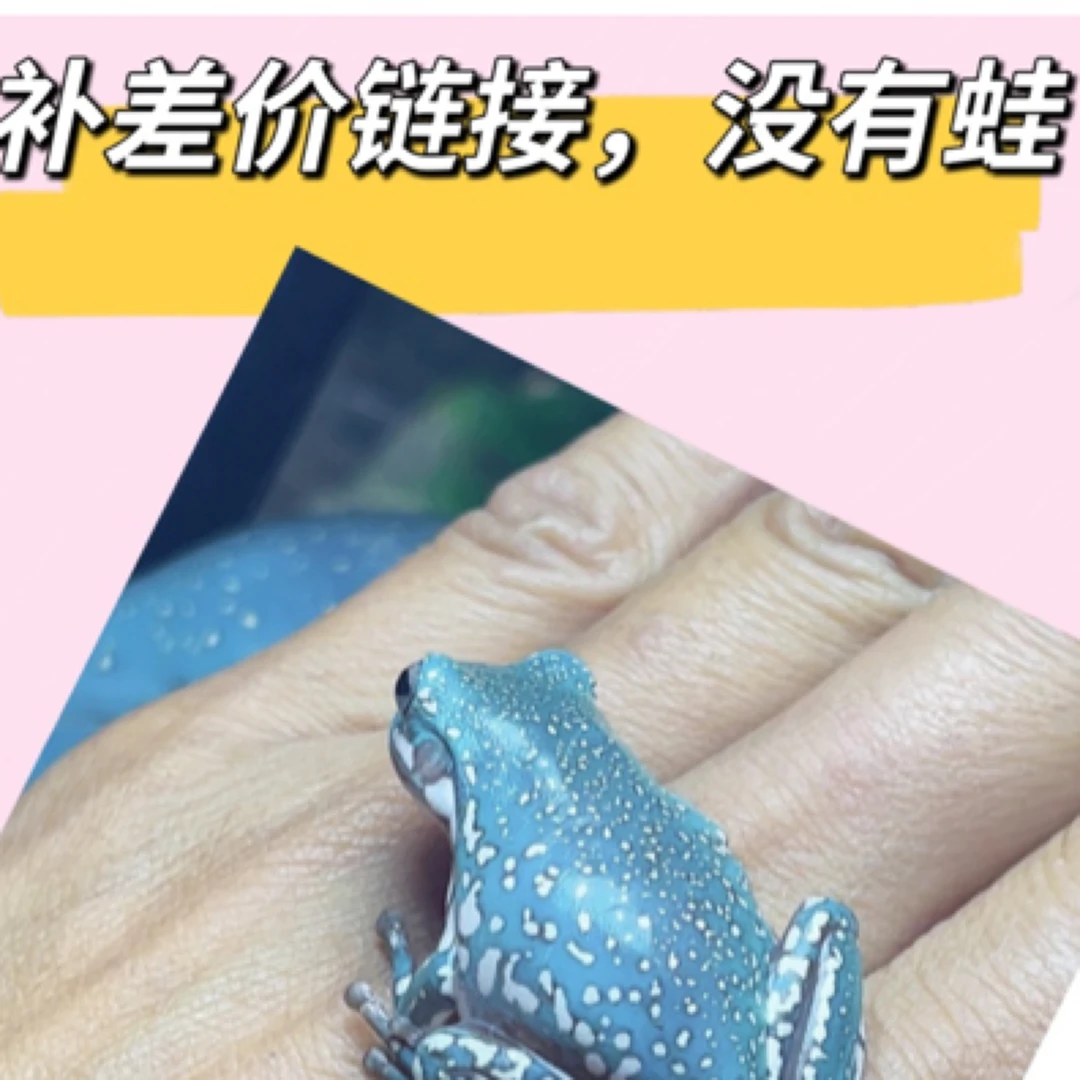 姥爷树蛙直播挑选补差价补邮费补拍补差价链接直播挑选补差价邮费