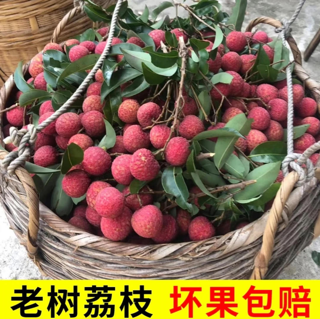 黑叶荔枝新鲜现摘现发应季香甜多汁整箱冷链包邮