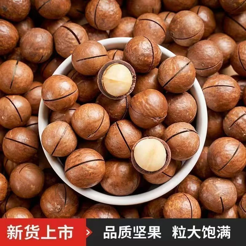 大颗粒夏威夷果原味饱满坚果休闲解馋小零食穿越酸汤子夏威夷果仁