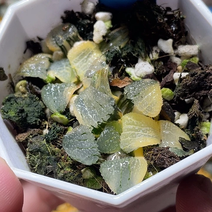 653两个完美天空之镜锦福利